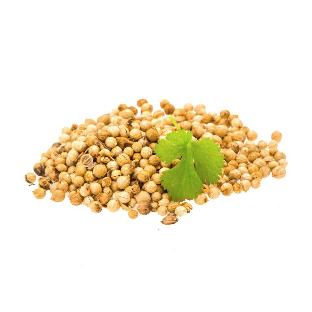 Coriander seeds Rozy